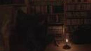 Lassie Singers: Geheime Gesellschaft