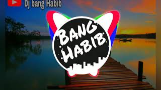 Download lagu Dj lagi vilar wik wik aisyah masuk pak eko slow remix mp3