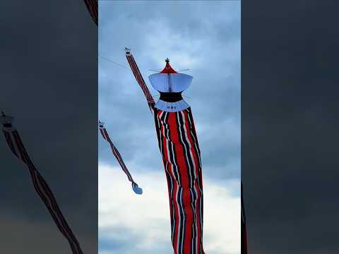 World Biggest Kite 😳 #basantinternational #world #biggestkite