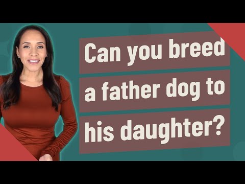 Can you breed a father dog to his daughter?