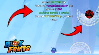 Admin CURSED My SERVER in Blox Fruits..!