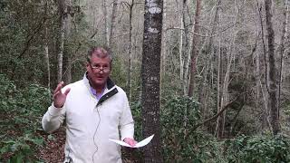 Lake Keowee Real Estate Video Update January 2026 Mike Matt Roach Top Guns Realty