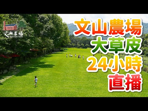 [自然景窗] 文山農場大草皮 - 24小時4KLive stream - 全景