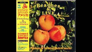 The Presidents of the United States of America - Monkey River