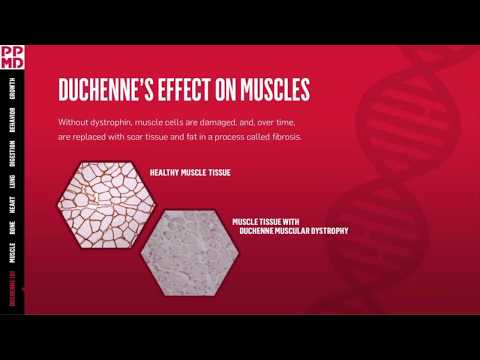 End Duchenne Tour 2020: Virtual Tour Stop in Atlanta - Genetics