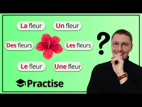 12 Exercices LE LA LES UN UNE DES A1