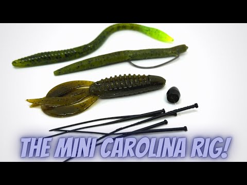The Mini Carolina Rig!