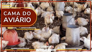 Miniatura do vídeo