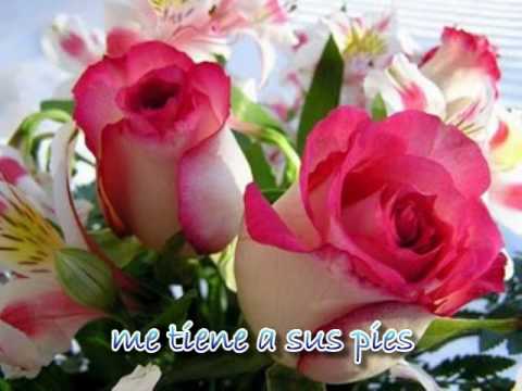 angyayd’s Video 49034441980 _LTT4FFbDOU