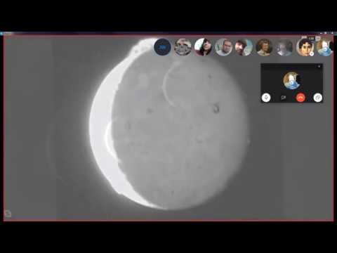 What does the Sun's neighborhood look like in the Electric Universe Theory?