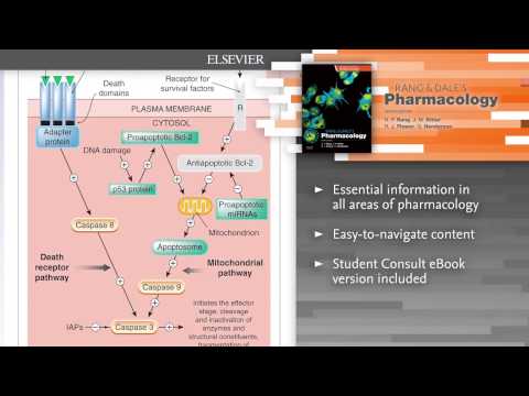 download lagu mp3 mp4 Rang And Dale 8th Edition Pdf, download lagu Rang And Dale 8th Edition Pdf gratis, unduh video klip Rang And Dale 8th Edition Pdf