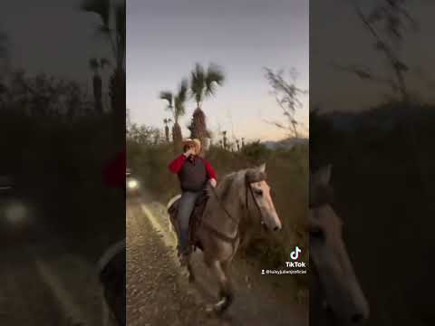 #elviejopaulino #luisyjulianjr #caballos