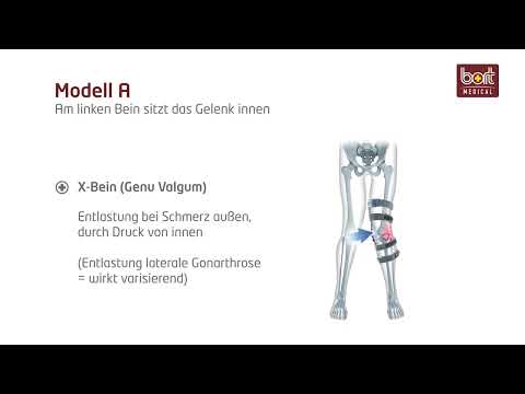 BORT OA-Xpress | Modellauswahl (1/3)