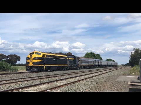 SRHC Intercapital Daylight by Cruise Express! | S303 T357