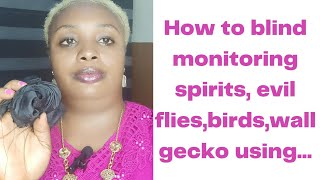 Blind monitoring spirits, evil flies, evil birds,wall gecko,lizards using...