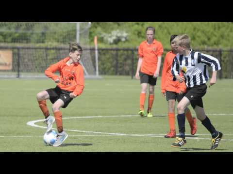 Desto D5 - Hercules D4