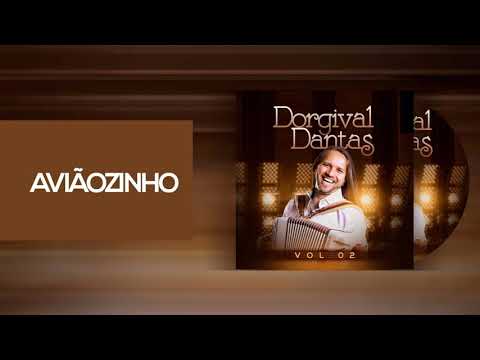 Aviãozinho video