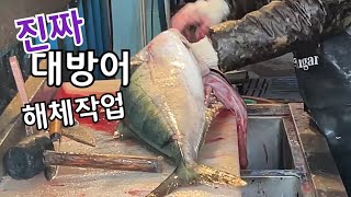 [제주 일주일살기#7] 모슬포항 대방어 횟집 어디가 좋을까?