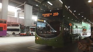 SMRT Buses Bus Service 255 Route Visual 
