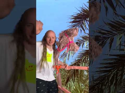 DJ HUNDEFRIEDHOF - Sensus Festival Workshop