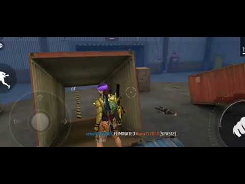 K80 x shana putha x prasa kg - Na shoken