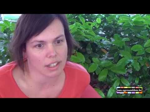 Válaszvideó - Kapcsolatok - Két lányt szeretek, kell-e döntenem? És hogyan??