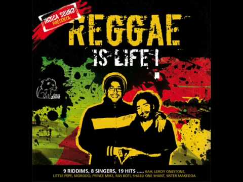 Pinnacle rockers-Bam bam riddim