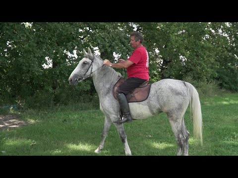 Vajdasági Futam - Óbecse