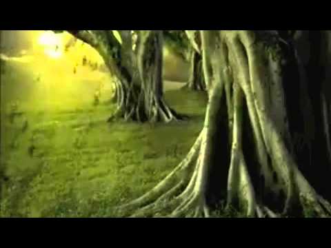 Allah you are my Lord