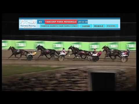 TABCORP PK MENANGLE - 19/11/2016 - Race 5 - TANYIA HARRIS OAM FAMILY PACE