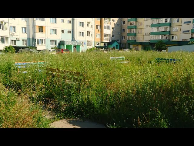 Поросло травой