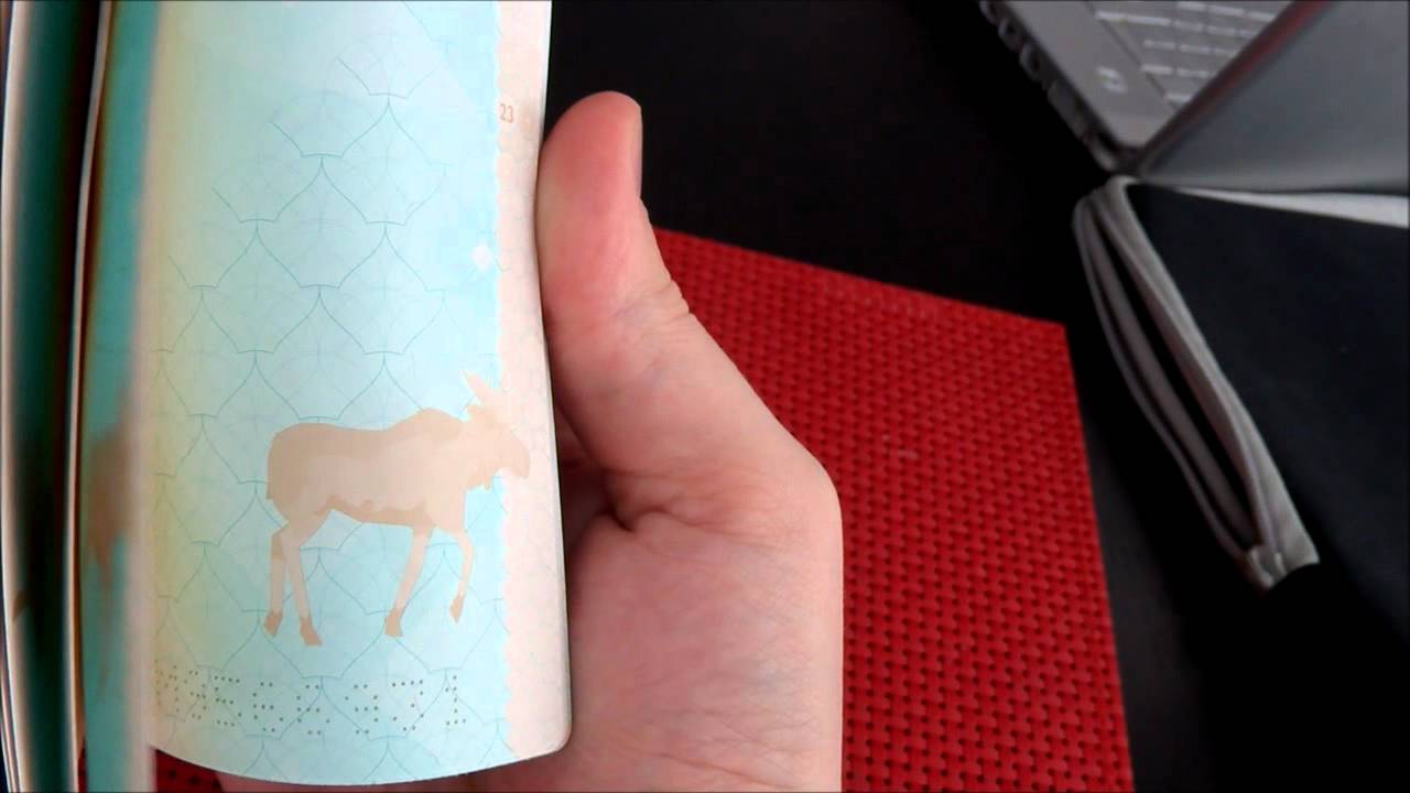 好想有這種護照!挪威新護照 峽灣暗藏極光