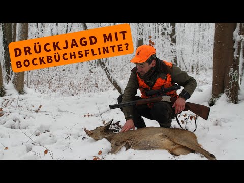 Bocksbüchsflinte auf der Drückjagd – diszipliniertere Schüsse? Unterwegs mit der Krieghoff Ultra 20.