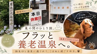 雨の日にふらっと癒し旅｜御朱印巡りと羽島温泉、こはねとの日常Vlog