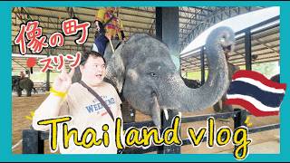 国際的すぎる家族旅行 in Thailand【English sub】ゾウの街スリン