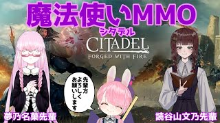 【Citadel】魔法使いMMOを先輩たちに教えてもらいながらやる魔女