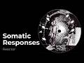 Somatic Responses: Reactor [from Post-Organic EP, Praxis 18, 1996]