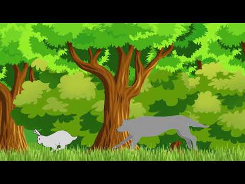 Torime! (HD Official Video)