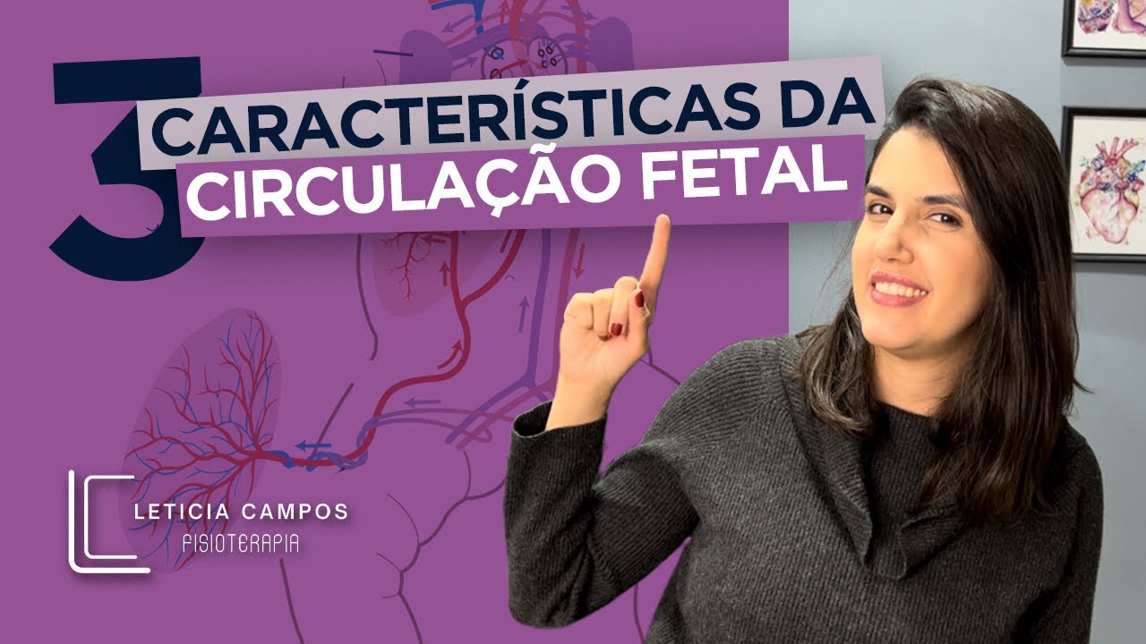 3 Características da Circulação Fetal