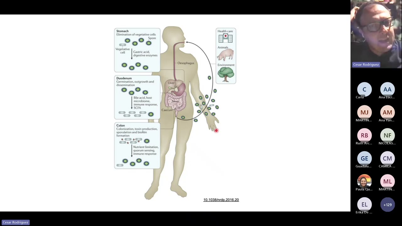 TALLER DE RESISTENCIA A ANTIMICROBIANOS 2024 Sesión #5