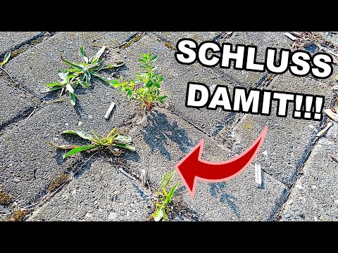 Wie du JETZT schon für weniger Unkraut im nächsten Jahr sorgen kannst!