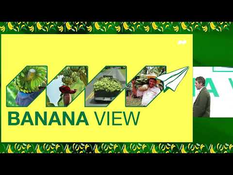Bananos Inteligentes: The Greatest Banana Rebrand in History