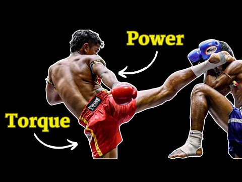 Biomechanical Analysis of the Roundhouse Kick