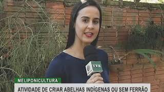 Miniatura do vídeo
