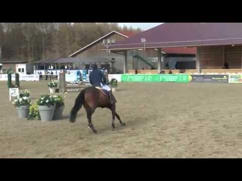 Diadini v. Diarado-Cassini