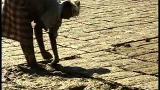 Architecture of Mud