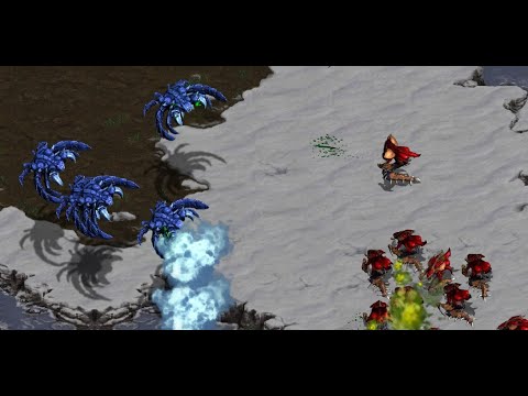 DAY 79 FUSS! Mini! Rush! Sn0w! Sacsri! herO! Sharp! Bacon! Phantom! - StarCraft - Brood War - 2025