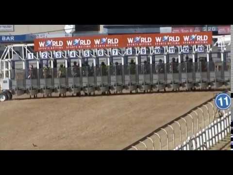 MOUNT PLEASANT - World Sports Betting SA Nursery (Gr2)