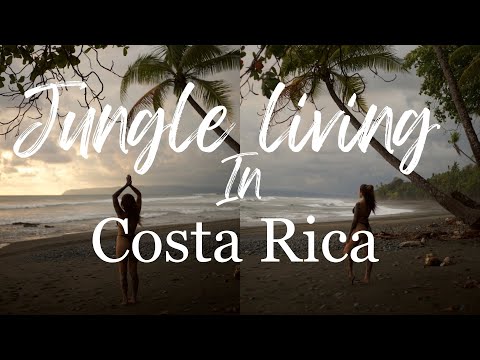Punta Banco Costa Rica | Jungle living