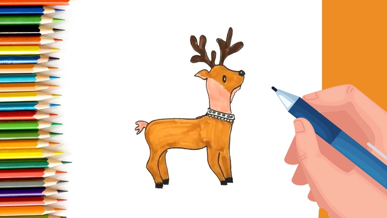 How to draw a Reindeer for Kids